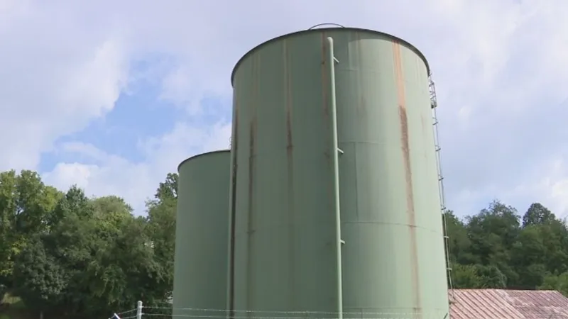 Back from the brink: How Wayne fought to reverse its water weakness