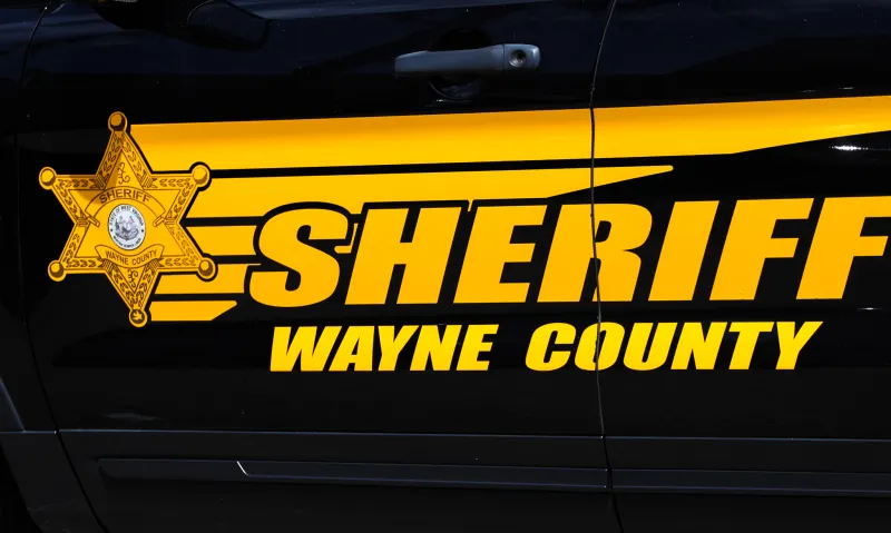 Wayne sheriff resigns