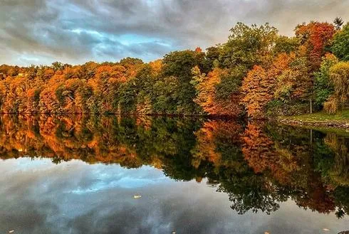 Department of Tourism Launches '26 Fall Foliage Map; Almost Heaven Swing Bingo Back with Fall Challenge