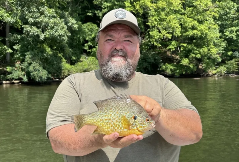 Pumpkinseed record set for a third time in just over a month