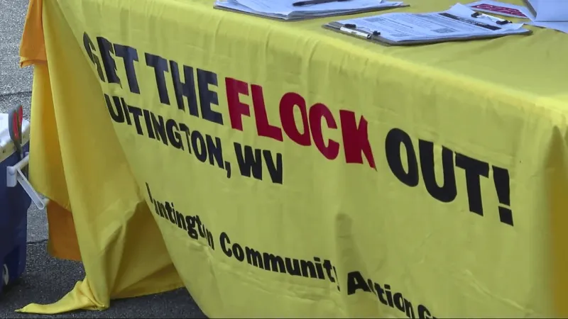 'Get the Flock Out' campaign collects signatures for special election ballot petition
