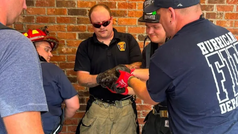 Kitten rescued from drain in Putnam County, firefighters say