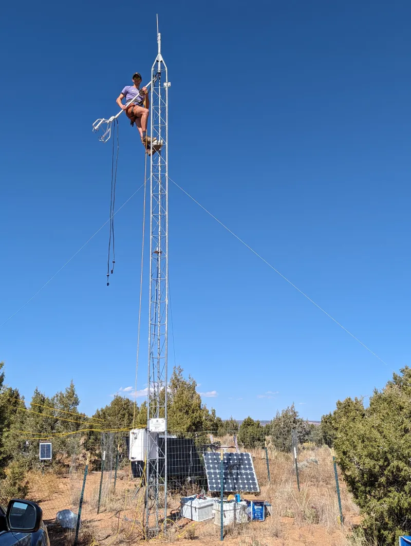WVU AI research could transform how scientists monitor ecosystems