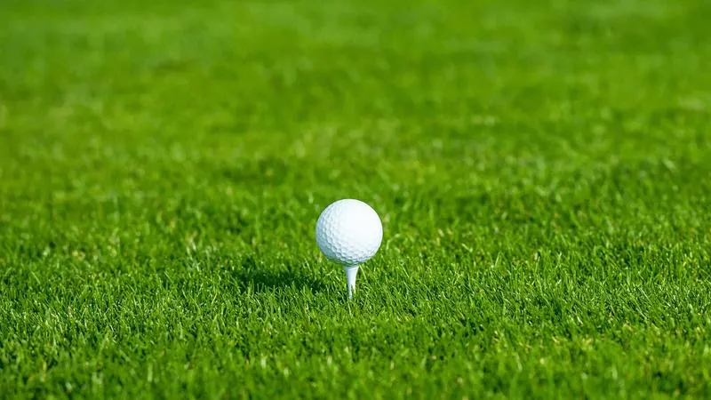 Pioneer Men's & Women's Golf Tabbed 2nd in MEC Preseason Poll