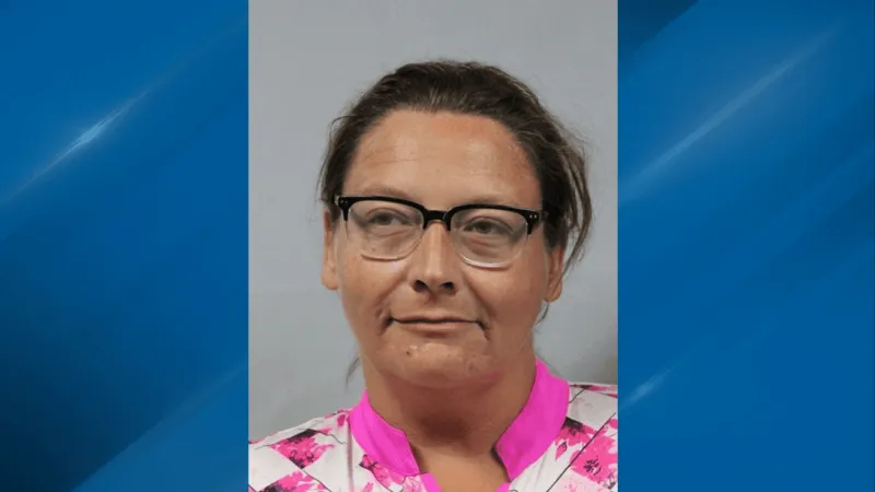 Woman accused of stabbing man in St. Albans