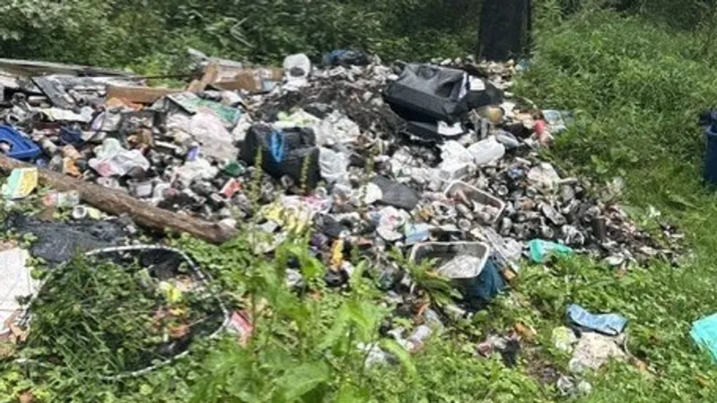 Wayne County authorities targeting illegal trash dumps