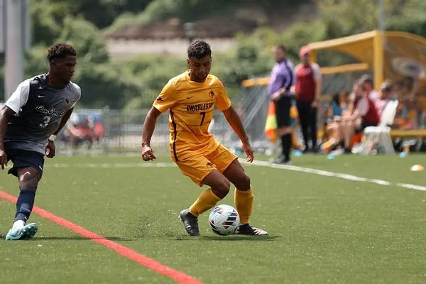 Golden Eagles Back on Track