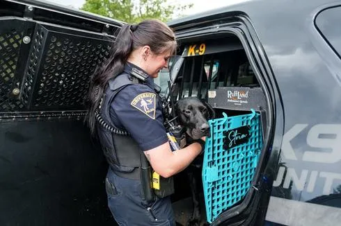 Paw and Order: K-9 Officers Keep Mountaineers Safe