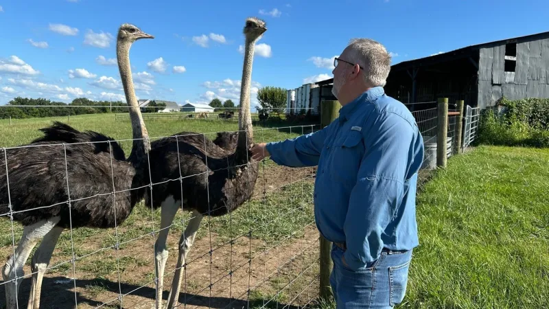 A Kentucky man with a meat allergy was craving a burger, so he got into ostrich farming