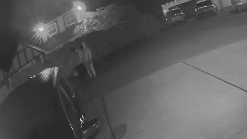 Police seek public's help after reported vehicle break-ins in Charleston