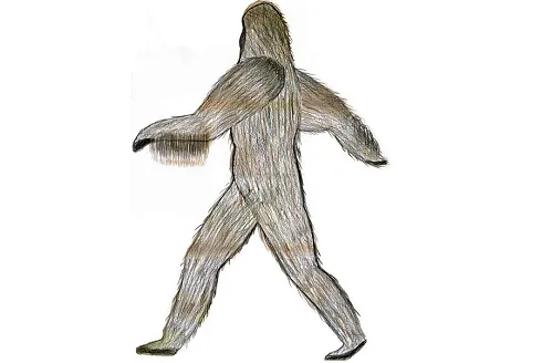 Bigfoot Sightings in West Virginia? Bigfoot Sightings in Harrison County? Answer to Both Questions is "Yes"
