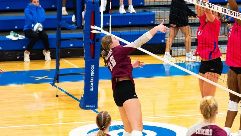 Concord Goes Undefeated at Home Tournament with Sweeps of Elizabeth City State, Bluefield State
