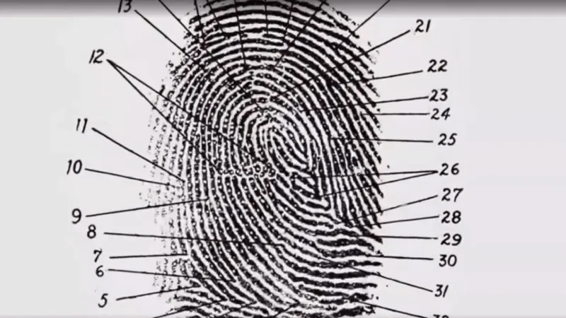 Crime-solving forensics to get $582,000 grant in West Virginia