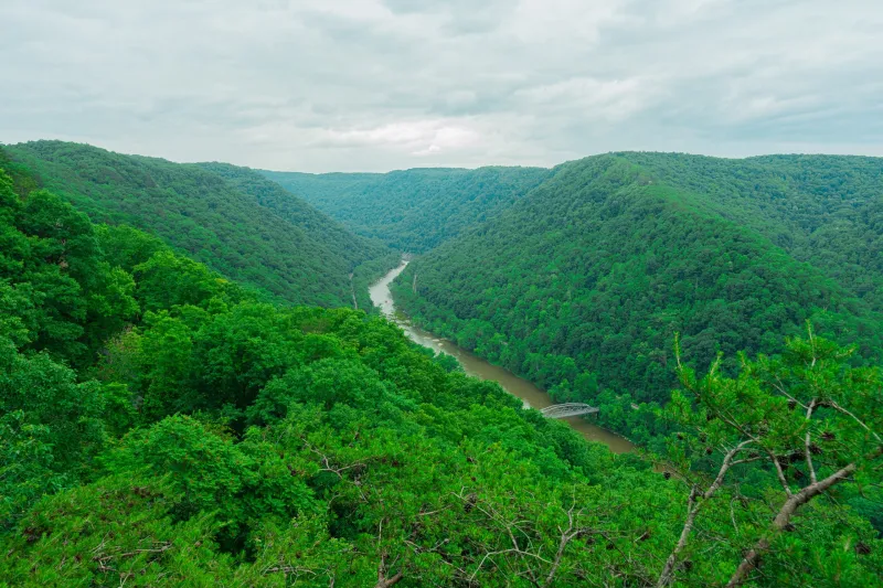 Landmark conservation deal protects 38,000 W.Va. acres