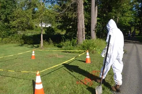 Bridgeport Parks and Recreation Staff Quickly Handle Discovery of Yellow Jacket Nest by City Walking Trail