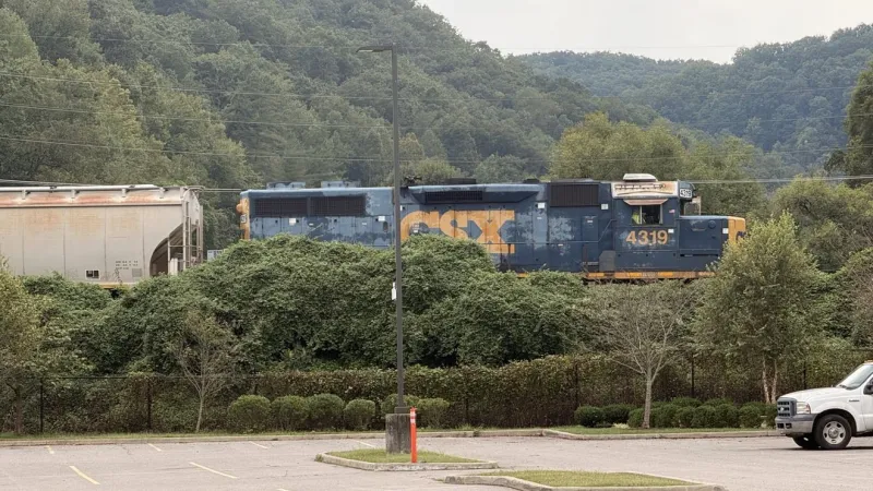 Man killed after being struck by train in Charleston, police say