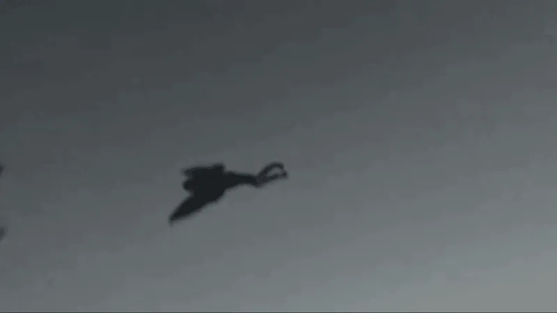 Mothman Festival brings thousands to Point Pleasant
