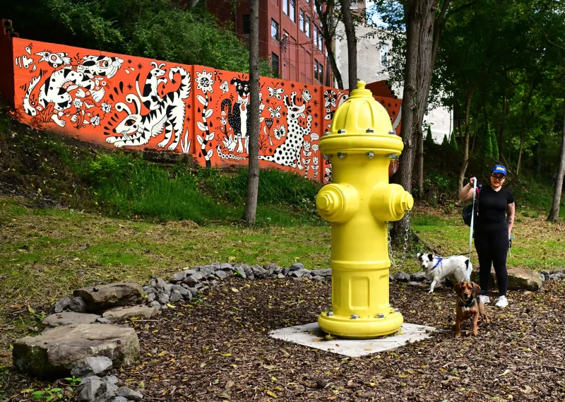 Bow-WOW! Volunteers bring new life to Stanley's Spot