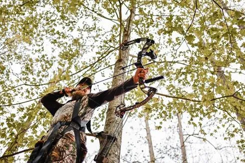 Annual Archery, Crossbow Seasons to Open Sept. 26