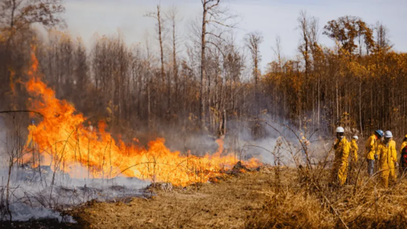 Fall fire season begins Oct. 1 in West Virginia, limiting hours for outdoor burning