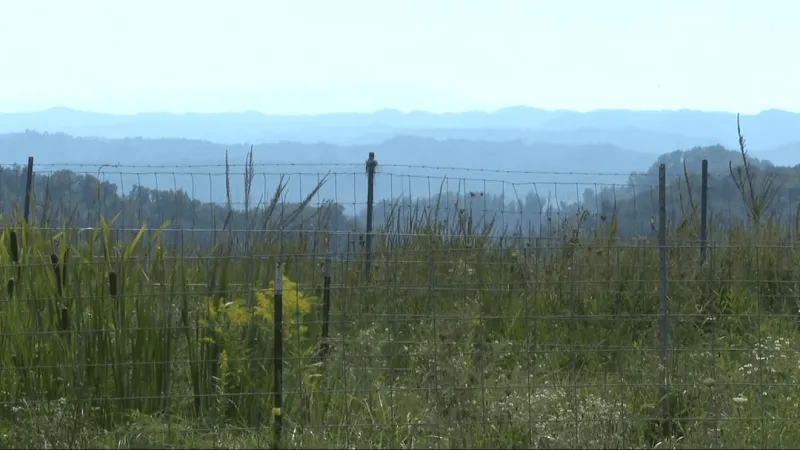 Abandoned mine land reclaimed, turned into farm site in Mingo County