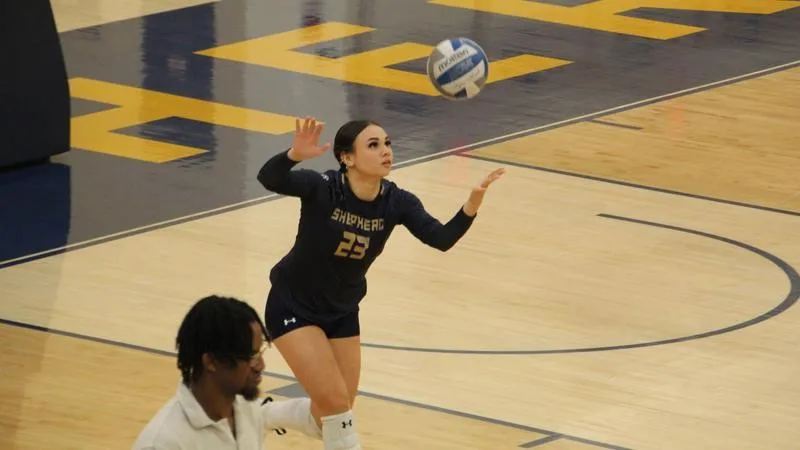 Shepherd Volleyball Sweeps Lackawanna
