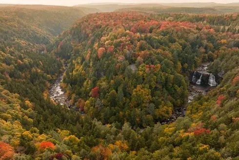Department of Tourism Releases Second Fall Foliage Map with Exceptional Color Season Hitting Region