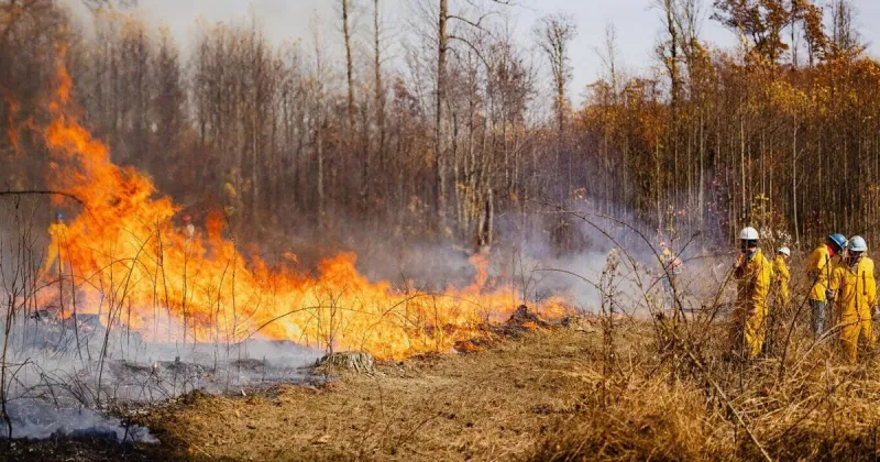 Fall fire season is here; here's some tips on staying safe