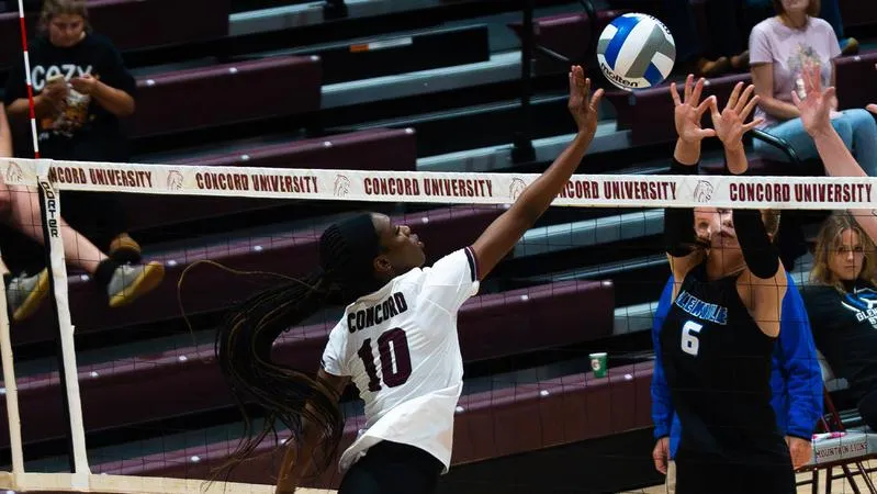 Concord Welcomes Point Park, Davis & Elkins for Weekend Home Matches