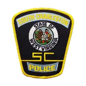 Pit bulls put down by police following attack