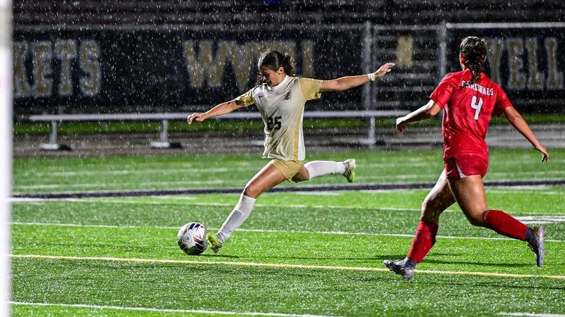 WVSU holds off Davis & Elkins for home win