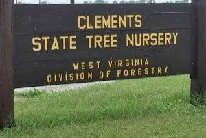 Governor says plan will protect historic trees at former state nursery property
