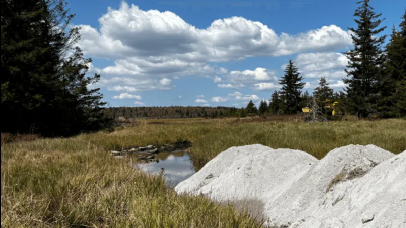 Body of hiker swept away by high water found in Dolly Sods Wilderness, troopers say