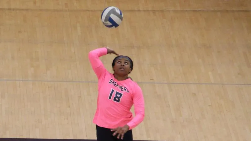 Shepherd Volleyball Falls at Lock Haven