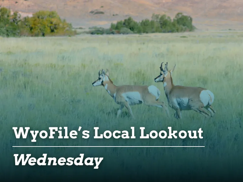 Local Lookout: Honoring veterans | Jury decides UW sorority countersuit | Protecting pronghorn migration
