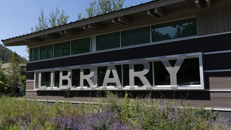 Unearth a Story: Library to kick off summer reading challenge with dino theme