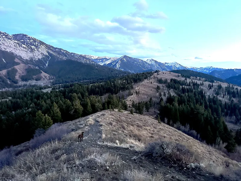 Wyoming's Hageman aims to block future 'roadless areas,' despite overwhelming support to keep public land pristine
