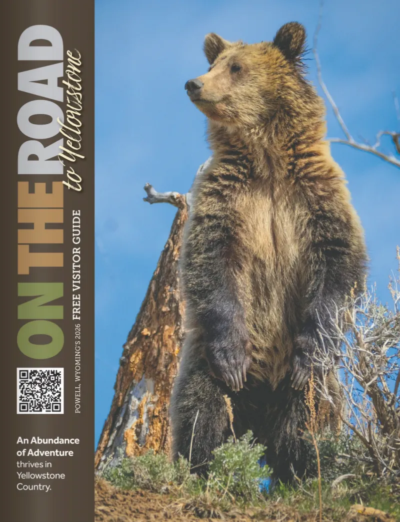 Travel Guide - 2026
