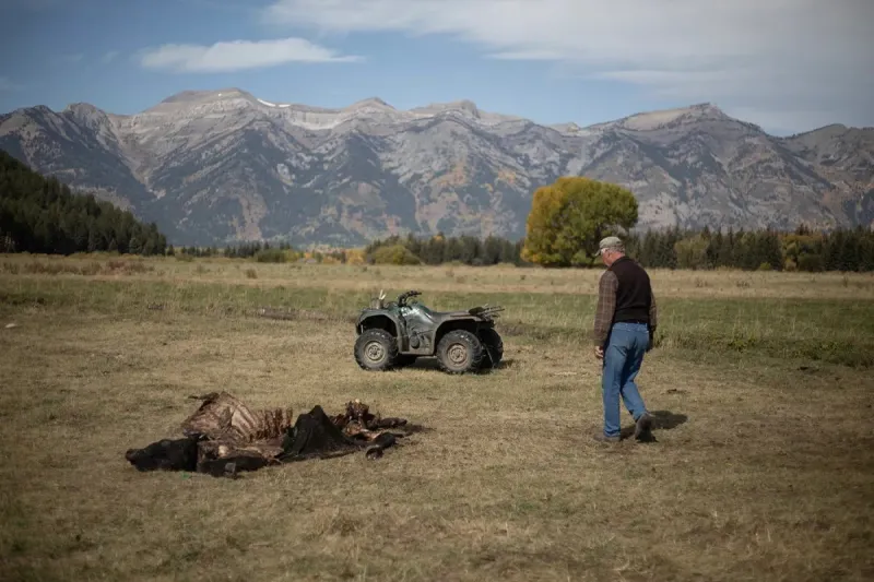 Wyoming sinks another $4.8M into predator killing as demand, costs keep growing