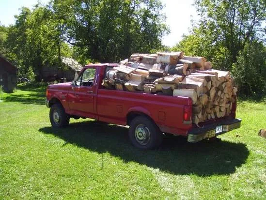 Bridger-Teton National Forest offers firewood permits