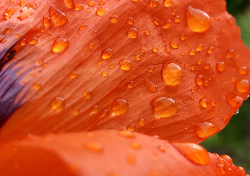 Memorial Day weekend continues to be pleasant, warm before workweek showers
