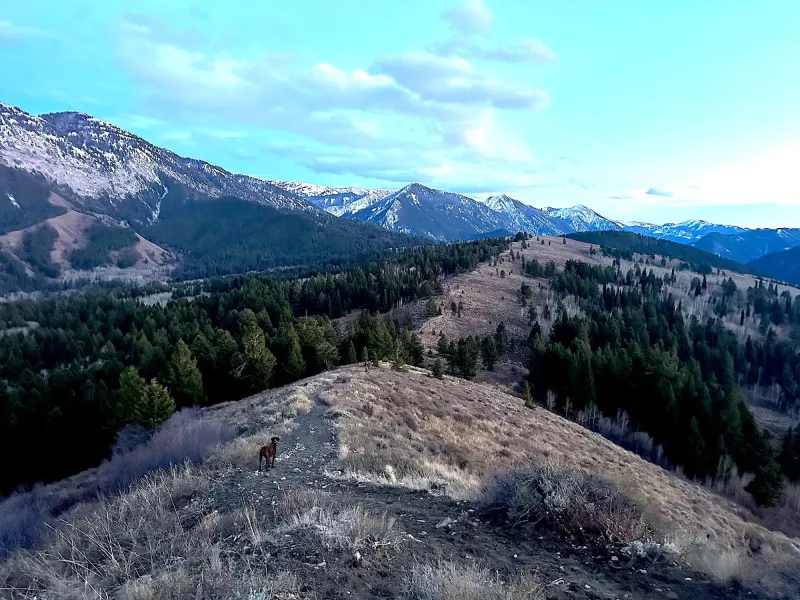 Wyoming's Hageman aims to block future 'roadless areas,' despite overwhelming support to keep public land pristine