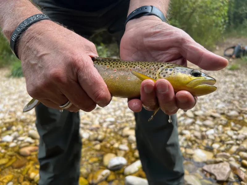 Keyhole State Park to feature free admission for Free Fishing Day