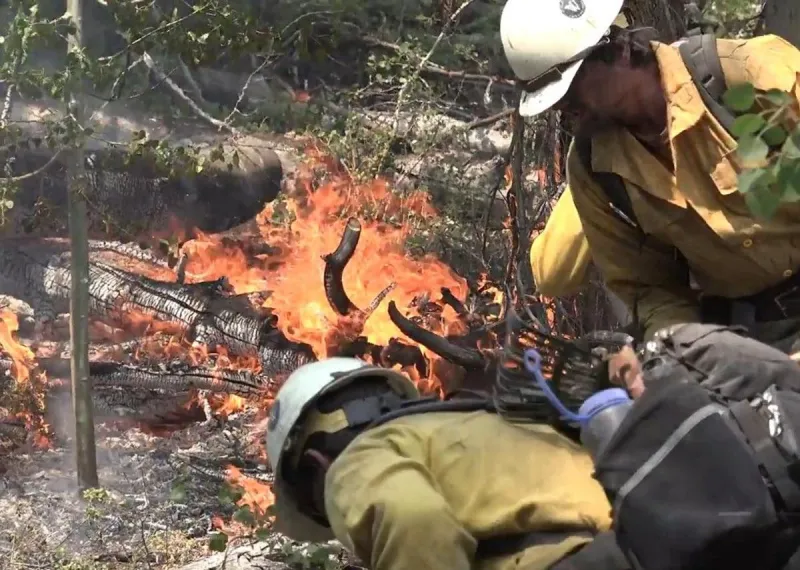 Navigating Fire Restrictions Is Key For Wyoming's Summer Fun
