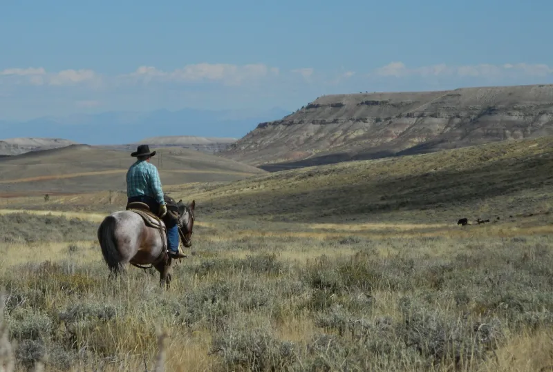 Horses, hats and political propaganda as Wyoming prepares to vote