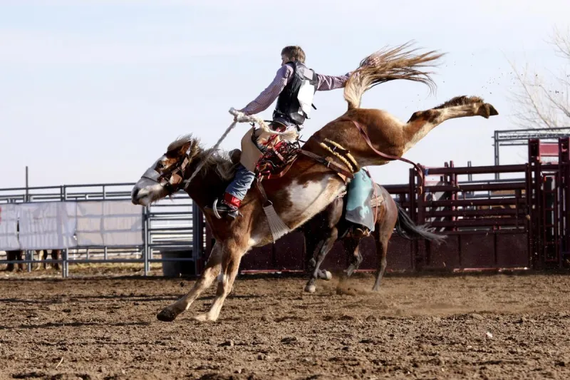 Rodeo Season In Wyoming Is Here With Open Casting Calls