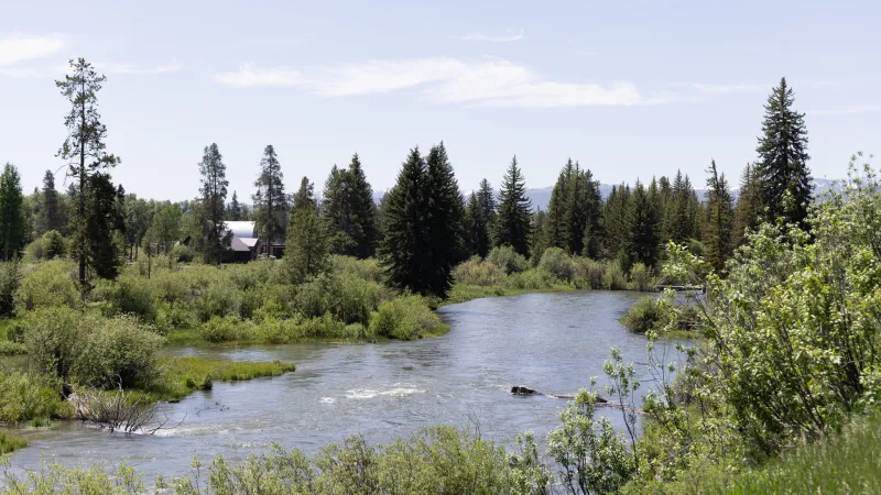 Health department: Avoid E. coli in Fish, Flat Creeks