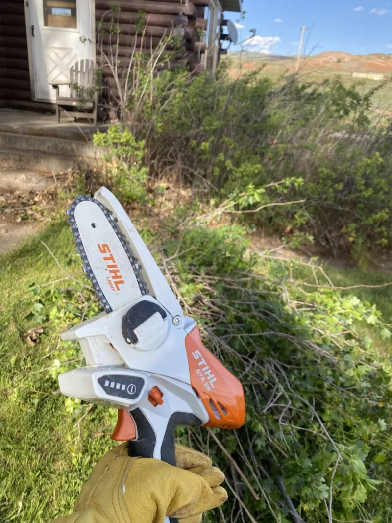 New Toy and a Great Start