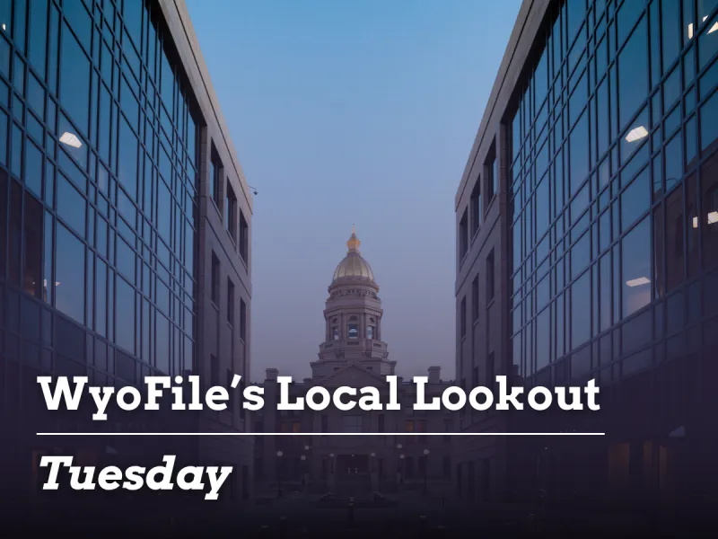 Local Lookout: Supreme Court overrules judge | Disease spikes interest in wolves | 'Man camp' vote