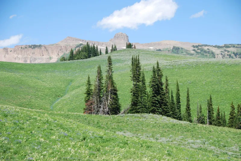 SVI Radio Interview: Thomas McMurtry -- Upper Valley trails system
